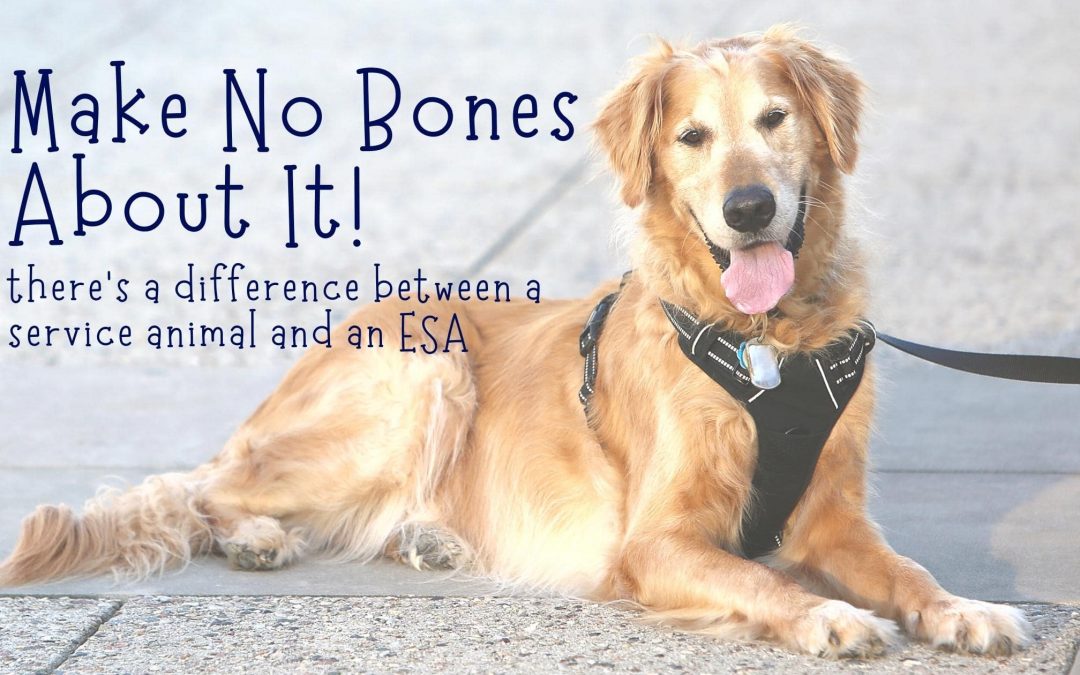 Is an Emotional Support Animal(ESA) the Same as a Service Animal?