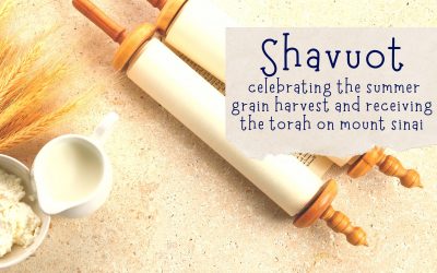 Shavuot – Celebrating Summer Grain & Receiving the Torah